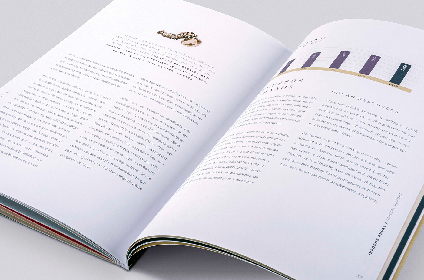 editorial Layout print brand identity annual report InDesign editorial design  brochure design Graphic Designer
