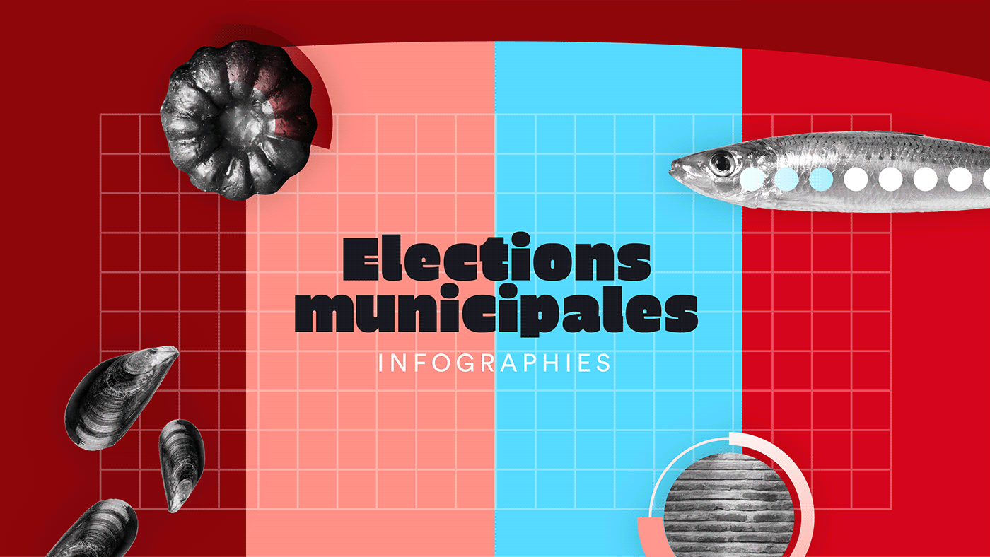 Elections france ILLUSTRATION  infographic politics typography   voting