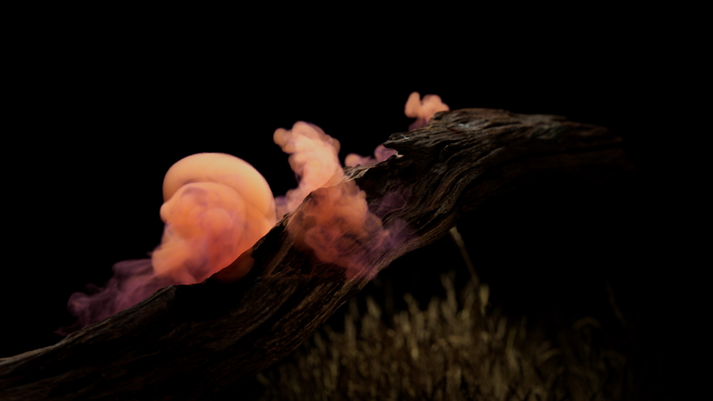 3D animation  CGI houdini Landscape product rocks simulation smoke water