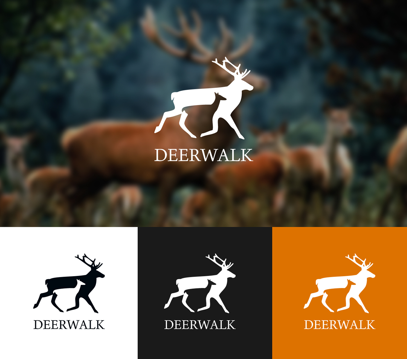 deerwalk deer animal mark Corporate Identity brand identity logo design full bleed Creativity Identity Design Freelance atul pradhananga logo designer nepal trademark