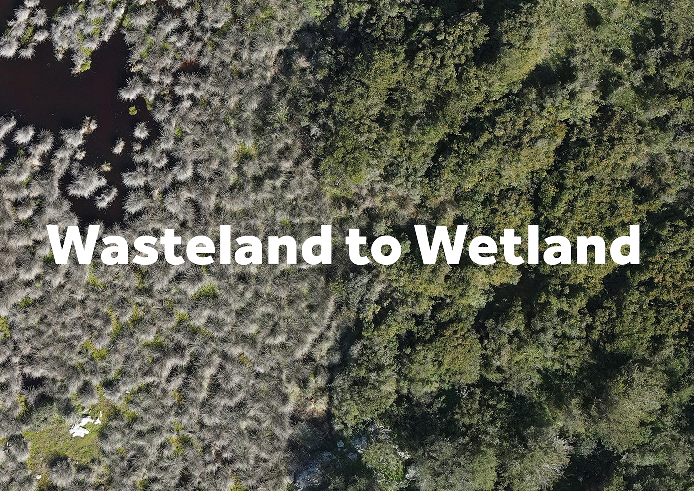 Geomatics survey Photogrammetry wetlands Landscaping Design Sustainability architecture 3ds max dronesurvey naturalism