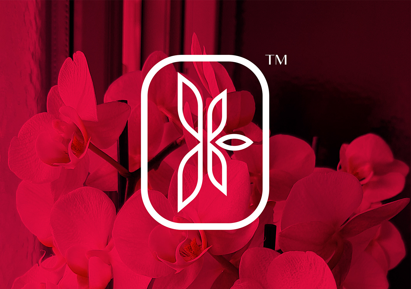 Florist logo, floral shop  logo design 