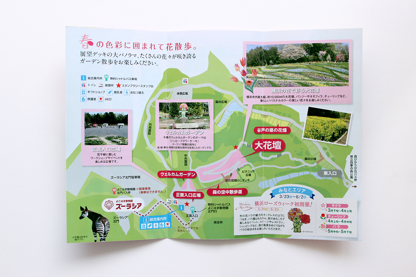 leaflet design graphic design  pamphlet stamprally 里山ガーデン spring デザイン リーフレット グラッフィックデザイン