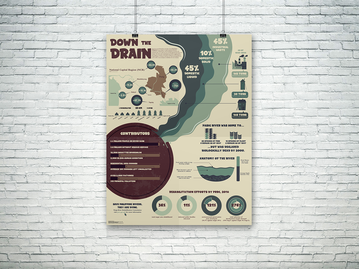 information design infographic pollution philippines Pasig River