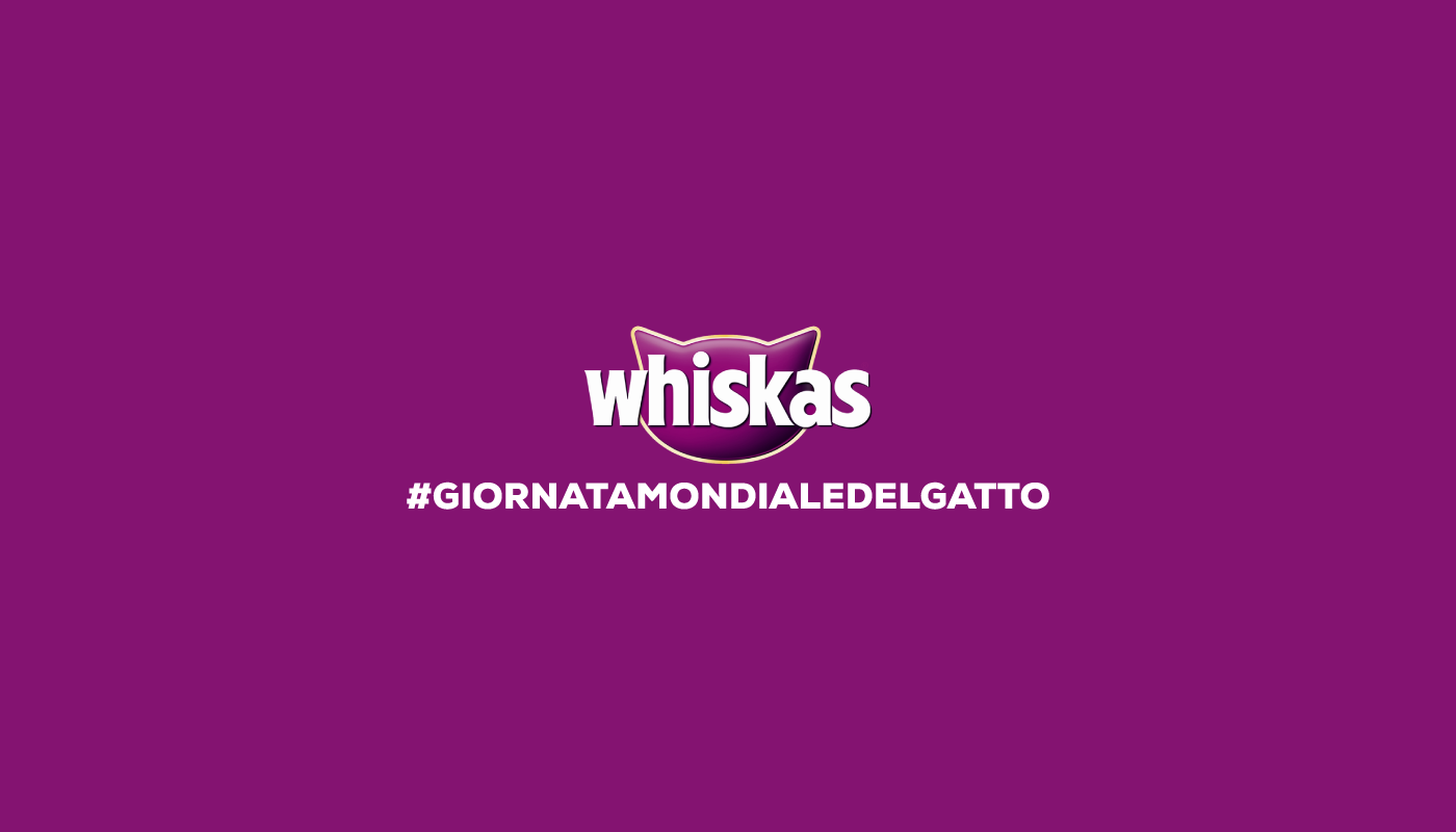 Advertising  branding  instagram whiskas worldcatday