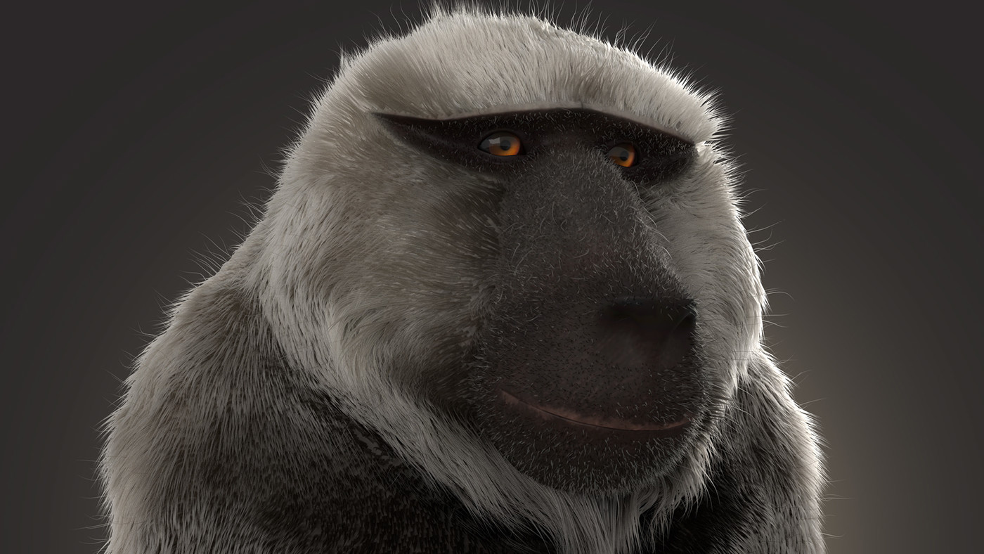 animals animation  Baboon Fur Render