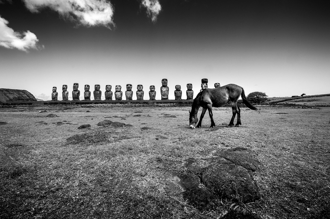 black and white chile easter island fine art horse South America Travel travel photography wildlife