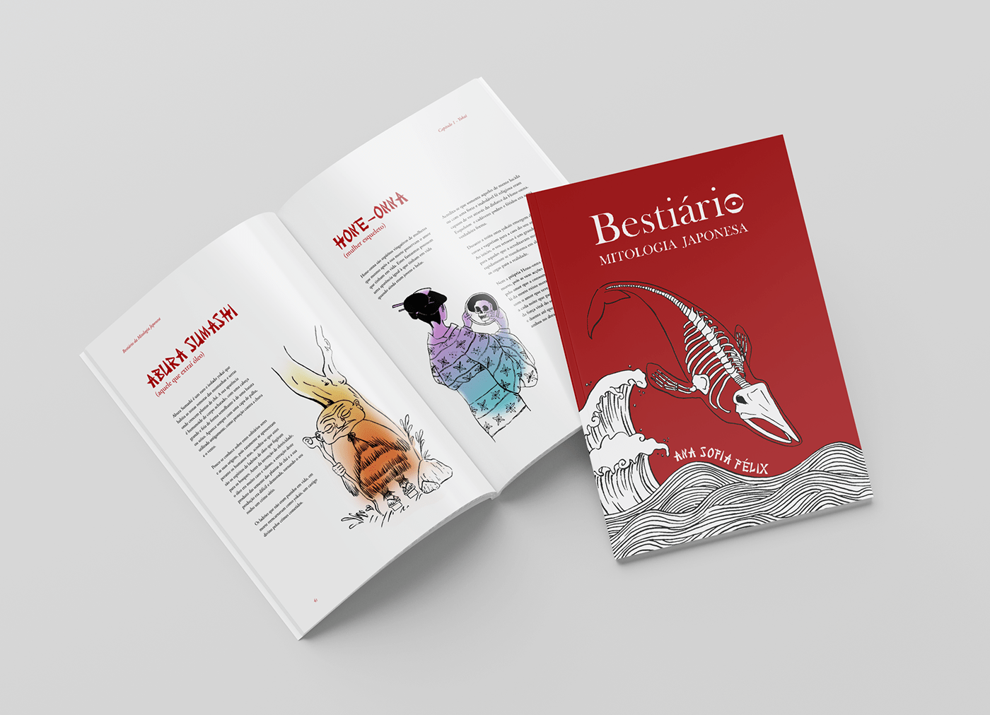 book book cover design design gráfico editorial editorial design  ILLUSTRATION  Ilustração Livro