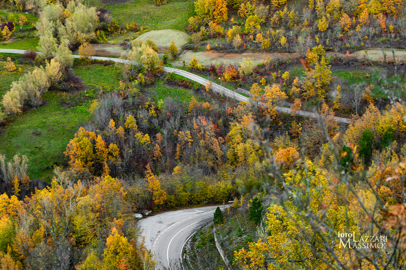 autunno collina foliage Landscape Nature