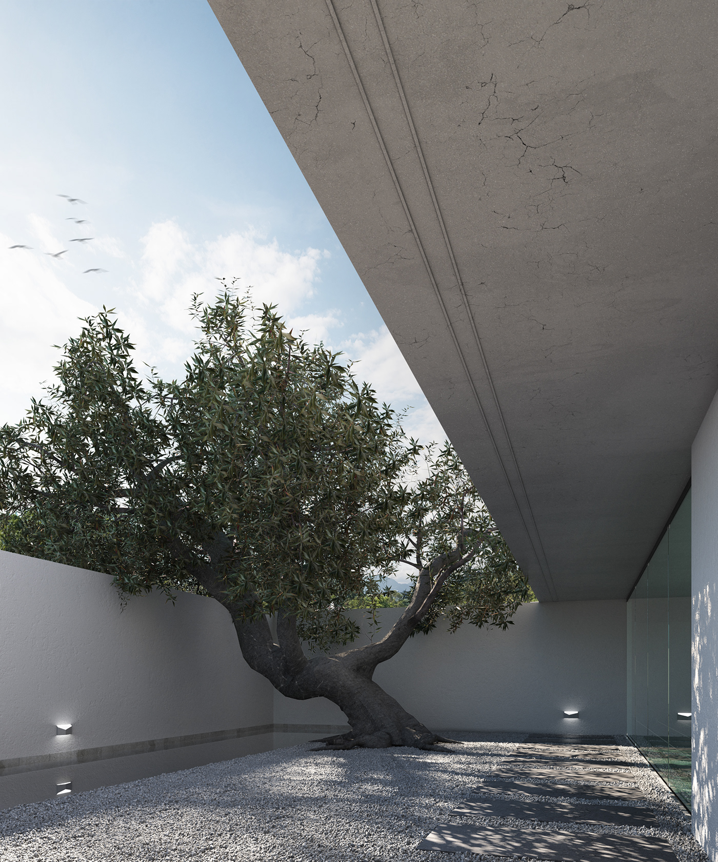 garden Tree  Nature Landscape architecture visualization archviz exterior Render 3ds max