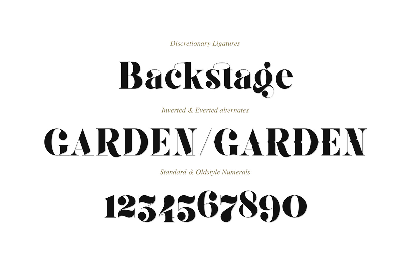 serif editorial wedding business card invit art deco elegant commercial webfont Free font