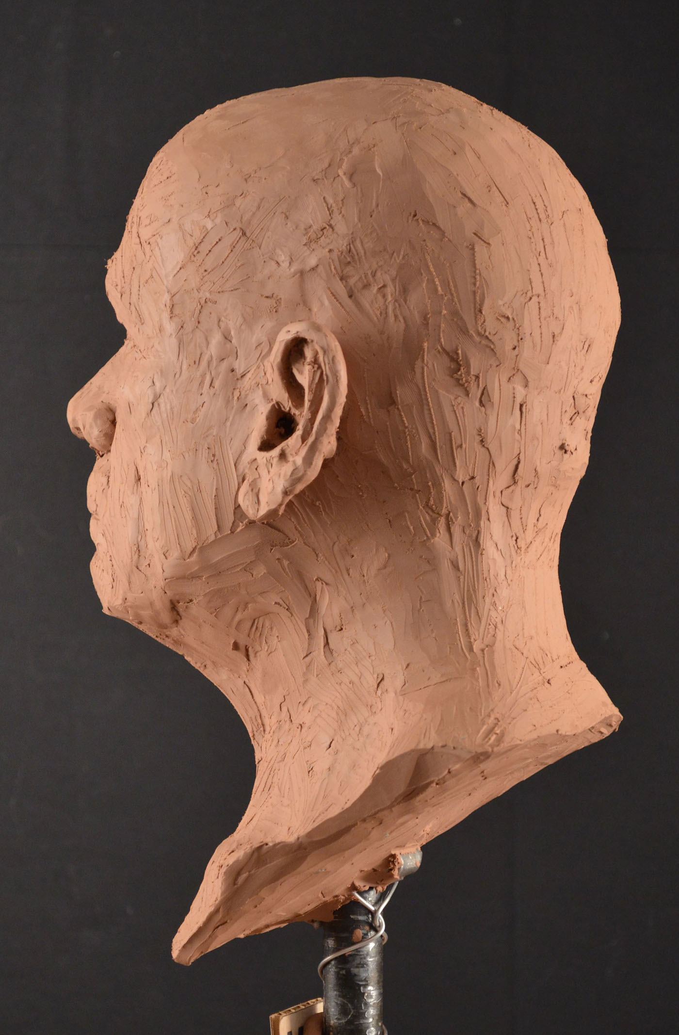 sculpture figure modelling figure portrait plasticene