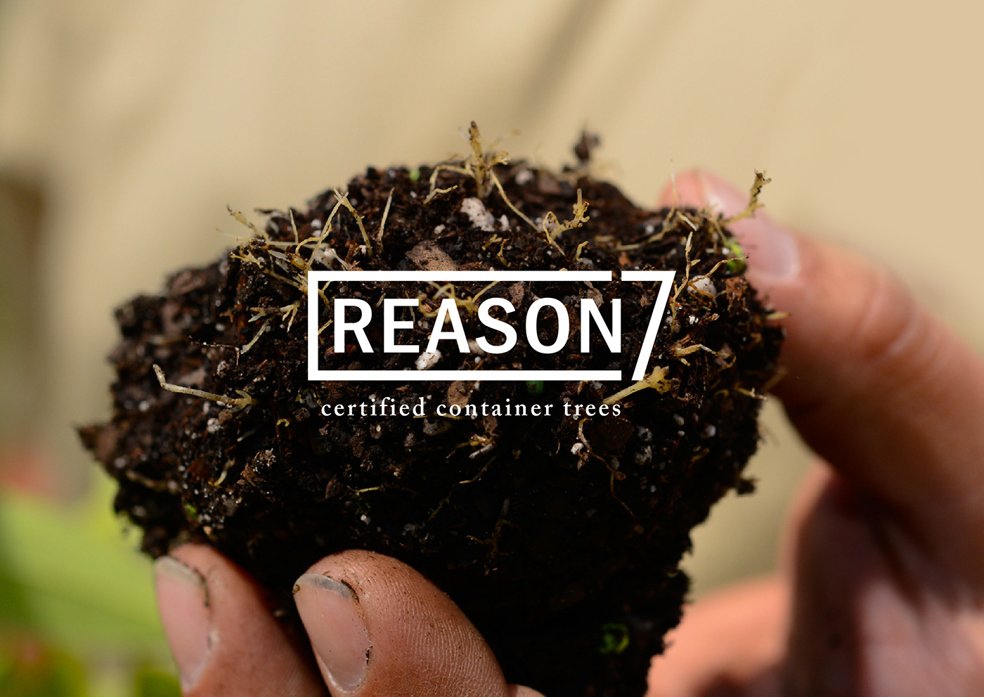 growers trees branding  Sustainable identity