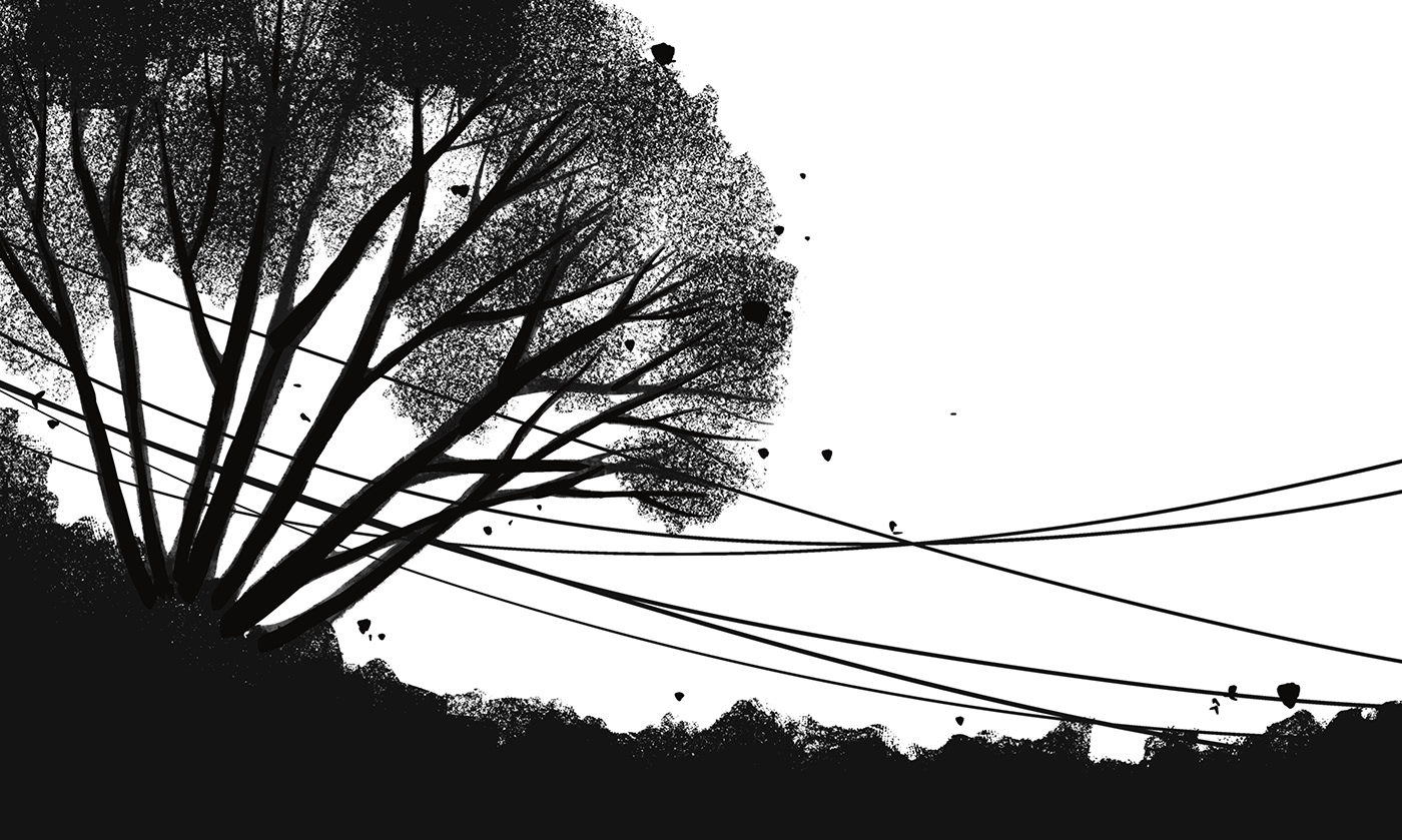 графика иллюстрация черно белое обложка деревья книжная стихи