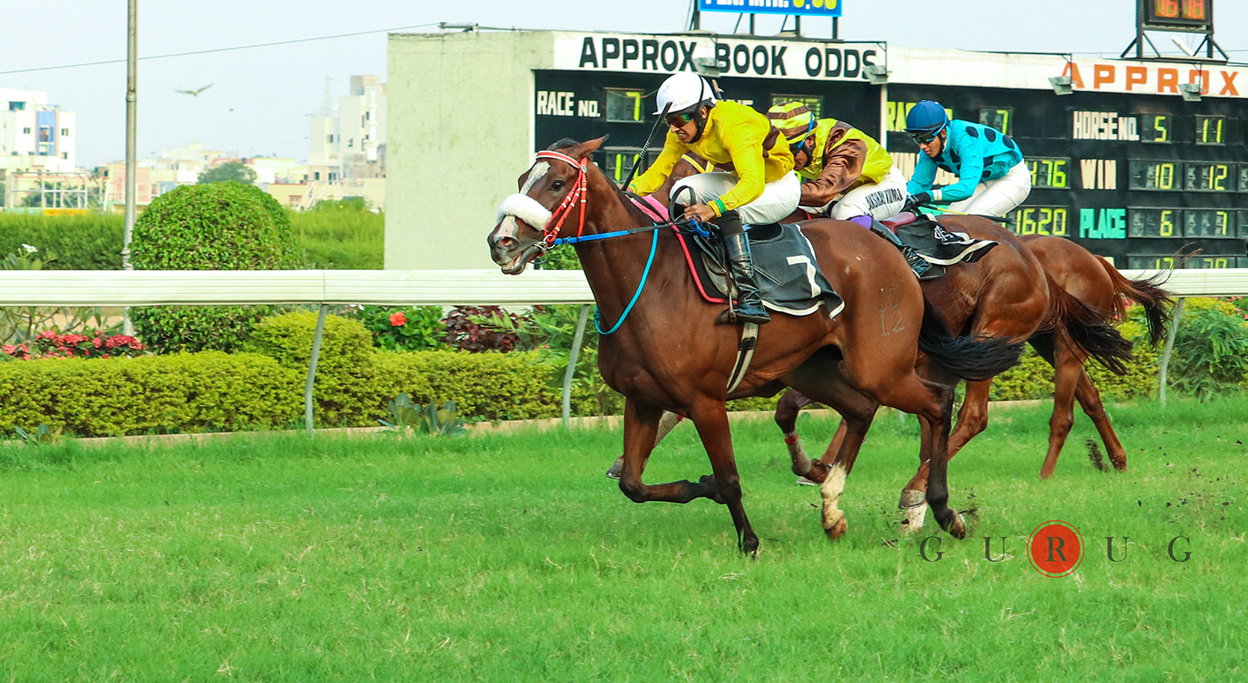 editorial horse Horseracing magazine newspaper Photography  race sports