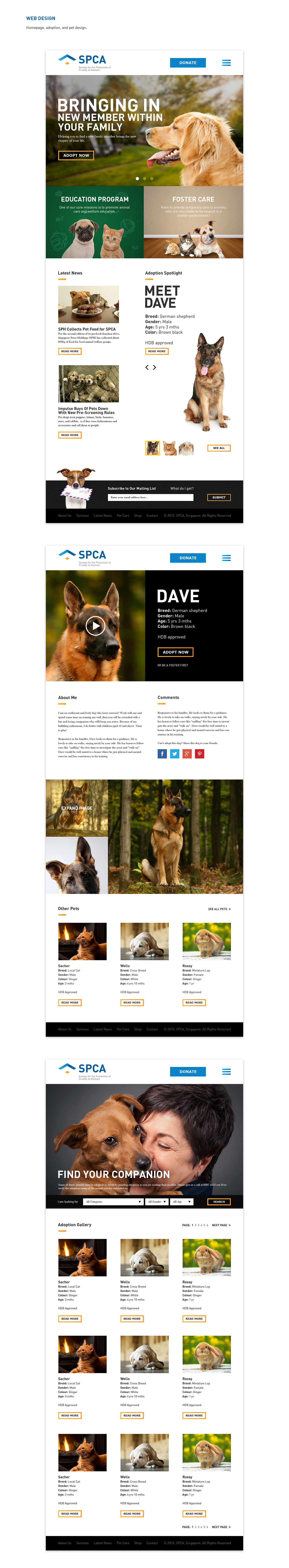 pets social brand dogs Website Design SPCA