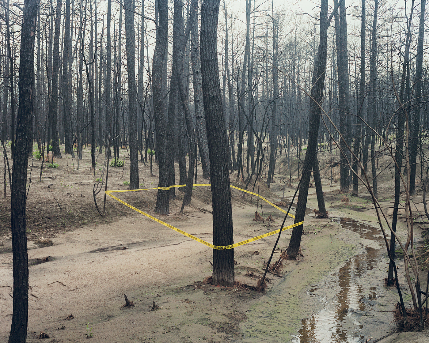 analog  Photography  LandArt   4x5  crime scene