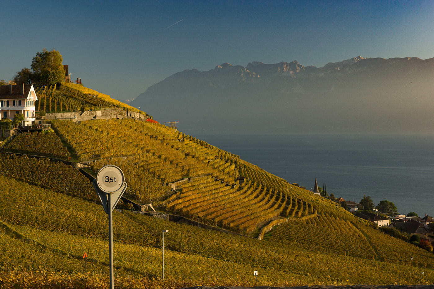 photo shoot photo vineyard Photography  lavaux Switzerland Fall