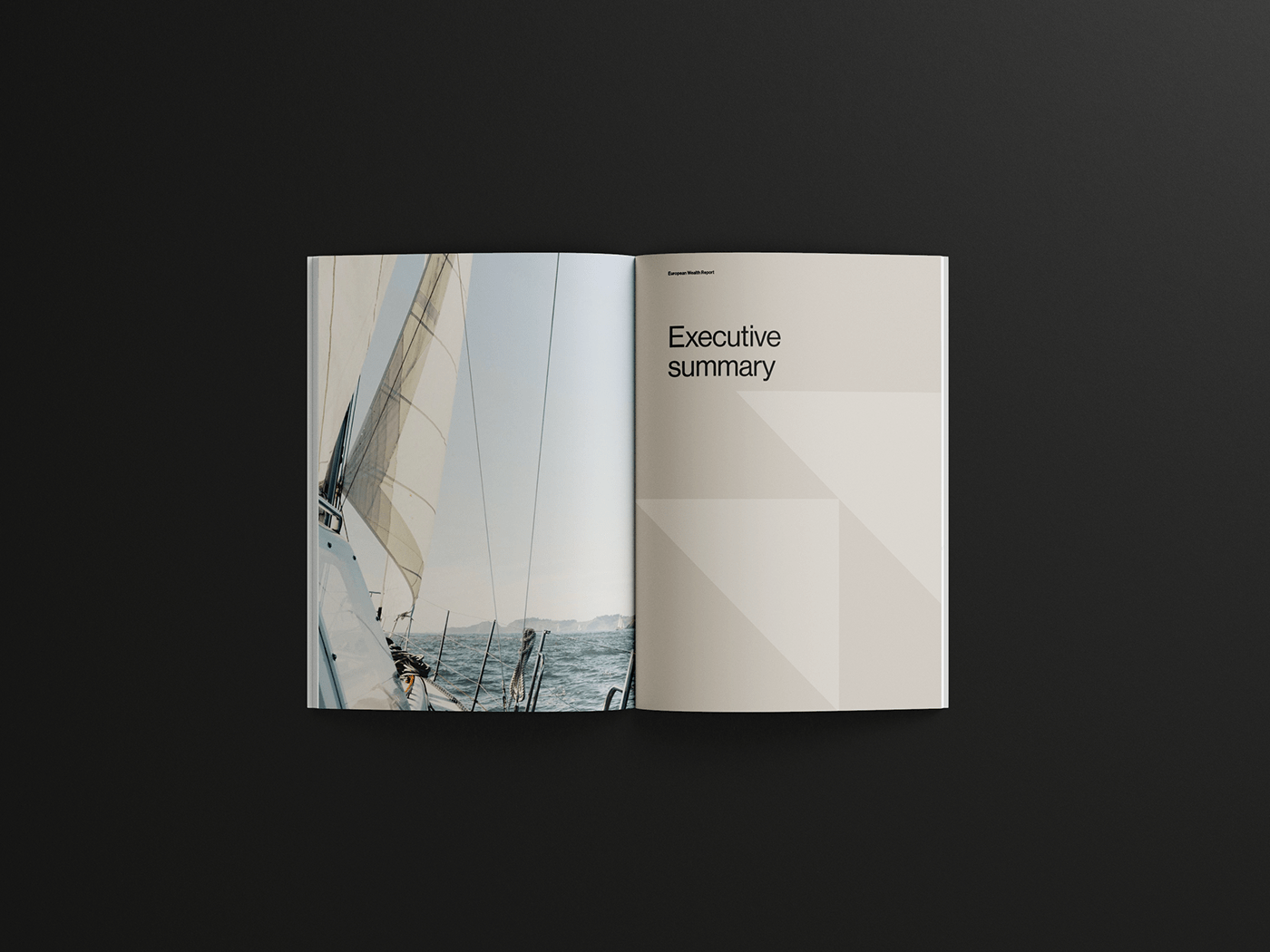 book cover clean editorial editorial design  InDesign Layout Minimalism modern report design swiss