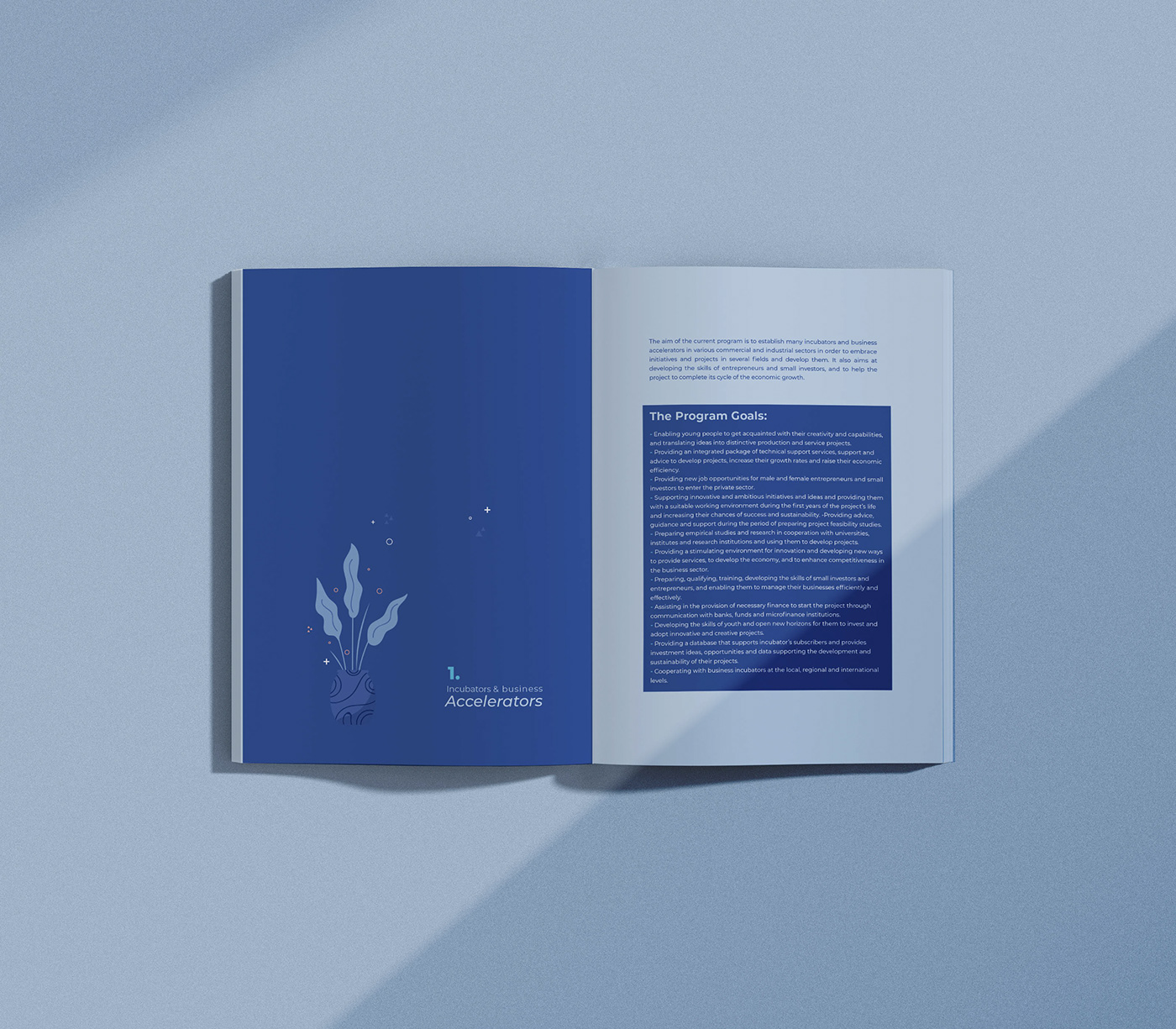 company profile print brochure design business company corporate editorial flyer print design  Printing