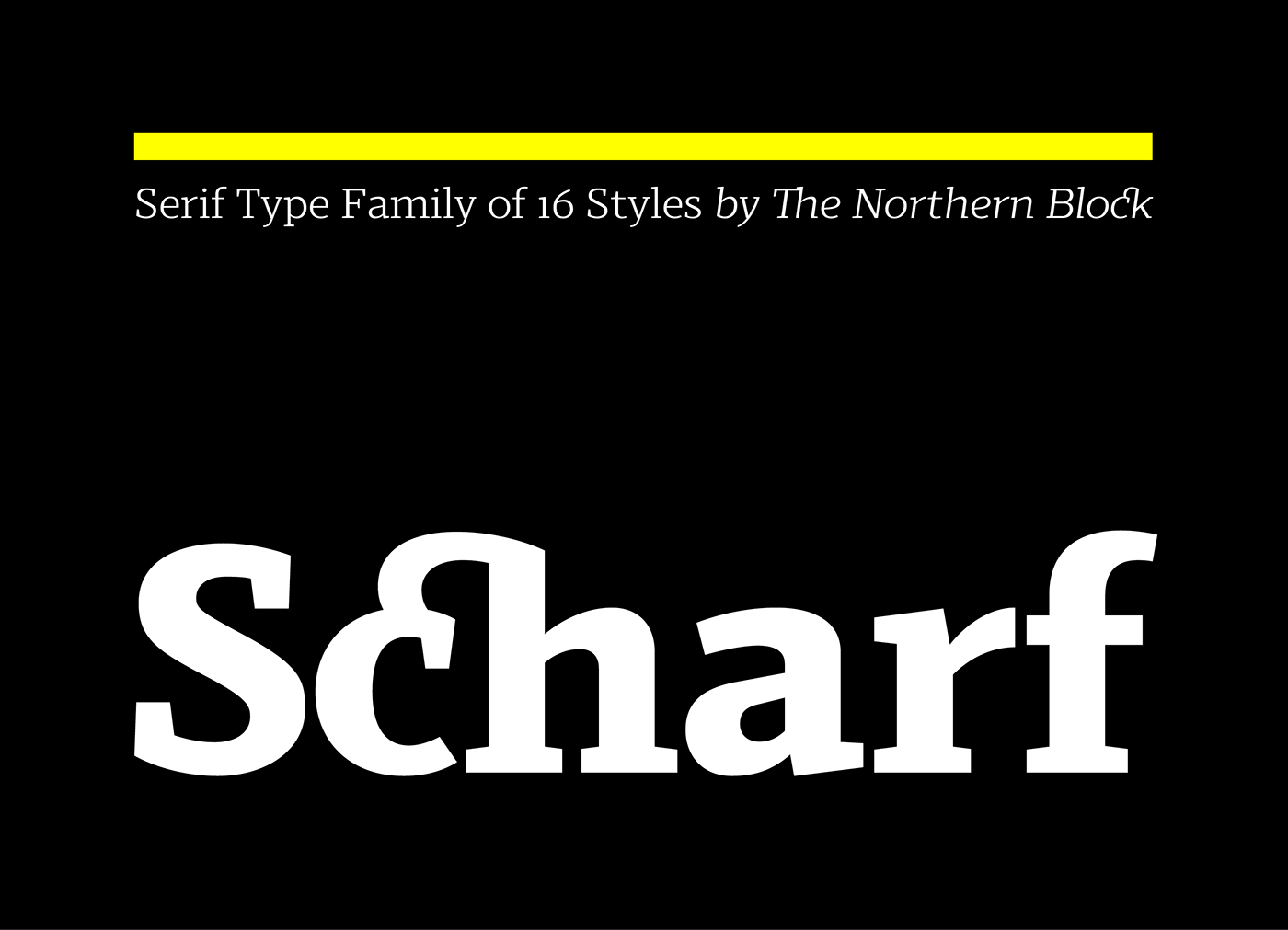 serif brochure The Northern Block font Typeface graphicdesign Serif Font serif typeface  book serif contemporary serif