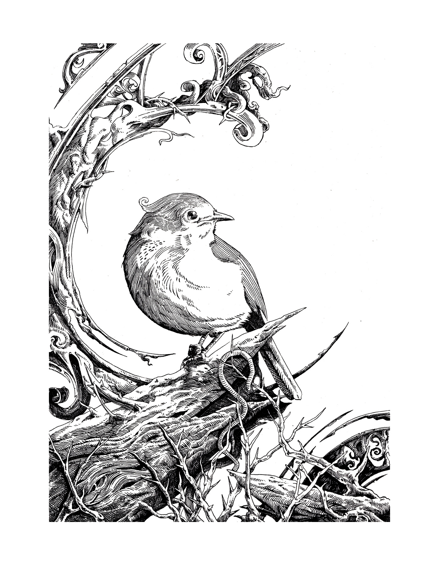 bird Aviary graphic surreal popsurreal Nature robin