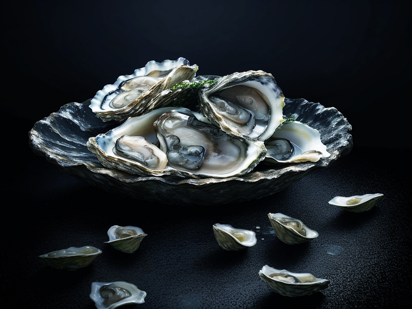 oyster sea food Food  beach sea design social media background happy oyster day oyster food