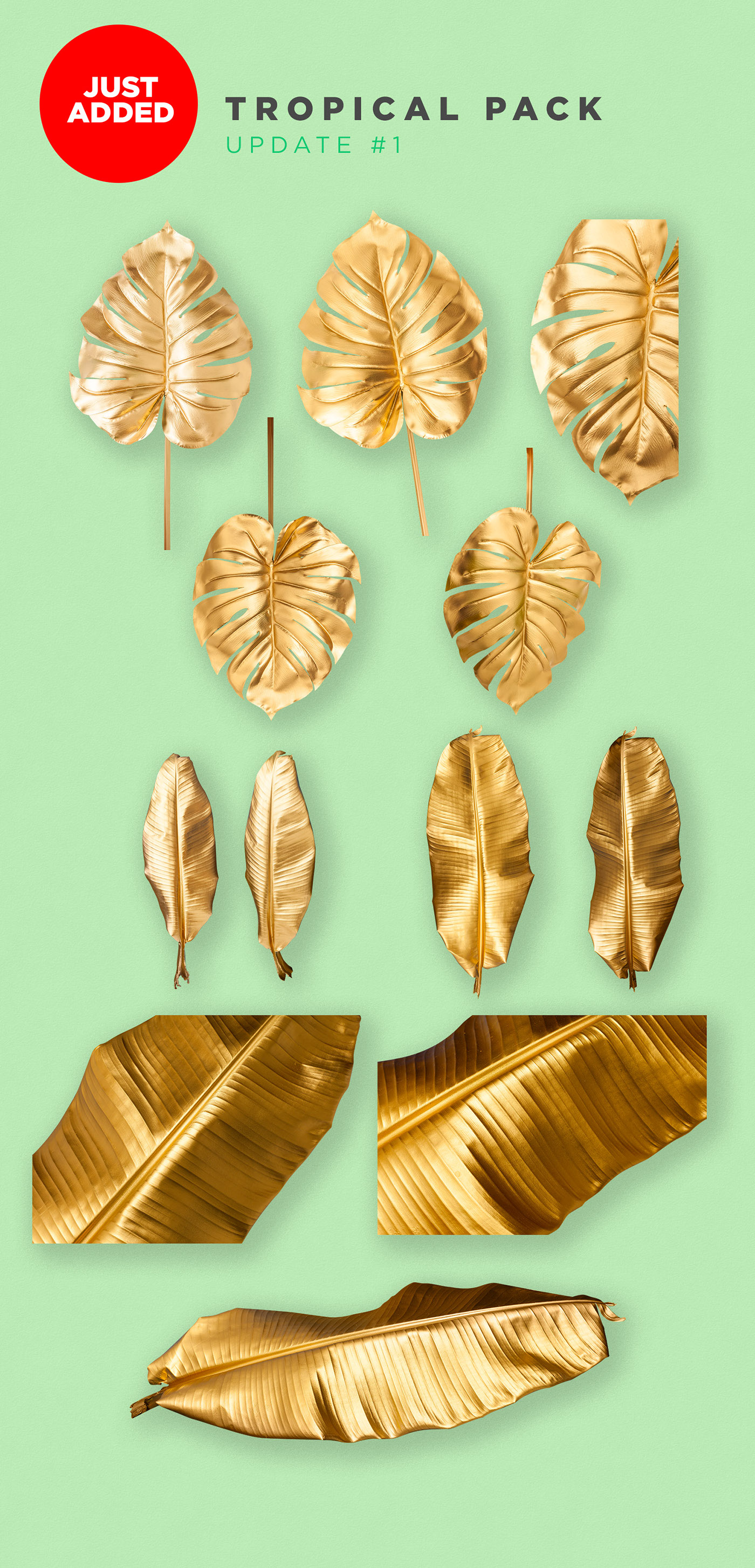 gold leaves freebies modern botanical Pineapple Tropical floral plants png