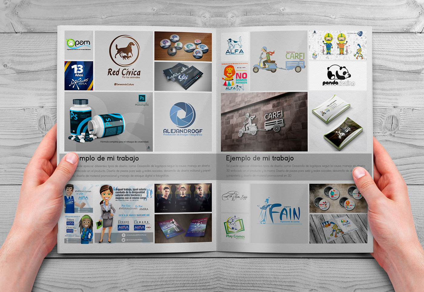 photoshop Illustrator InDesign CV Plan de estudios portafolio diseño gráfico diseño adobe graphic