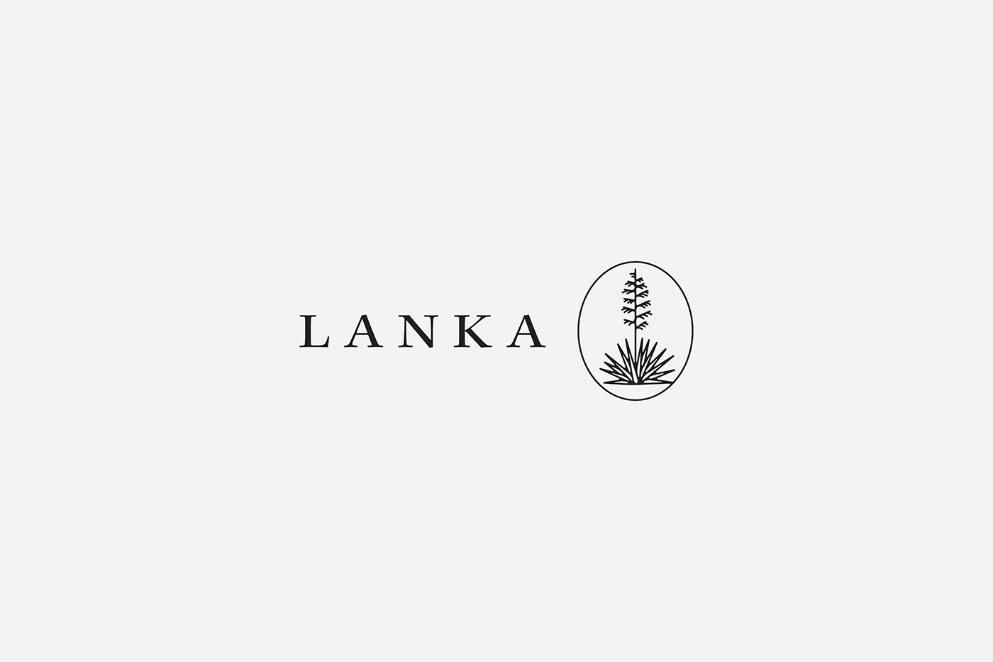 anagramastudio Lanka emblemcapital mexico huasteca yucca Nature splatters realestate branding 