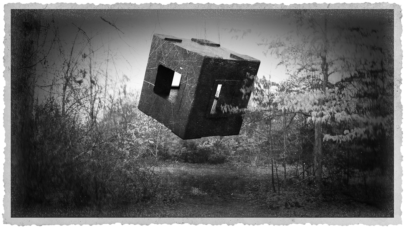 creepy black and white rustic design Landscape abandoned dark cool strange journal