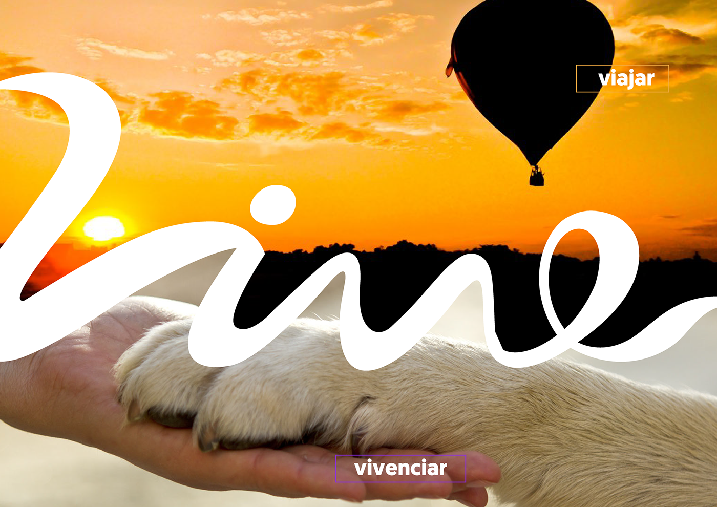 live-one-trip Travelling purposes manifesto stationary Web Design  brand graphic design  logo