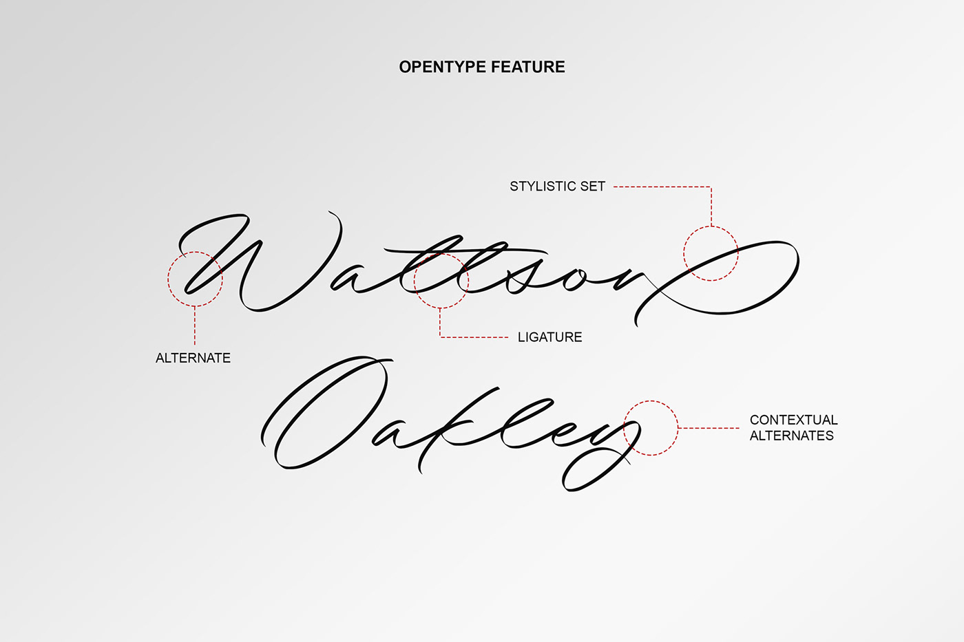 Brand Design branding  font lettering Logo Design Logotype Poster Design type Typeface typography  