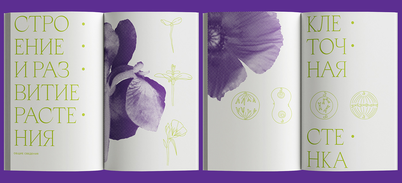 book botanica botanical botanical illustration book cover book design typography   plants anatomy