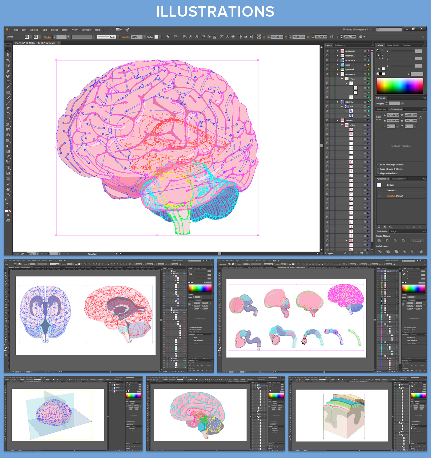 Education medicine medical medless shape brain neurology anatomy неврология анатомия