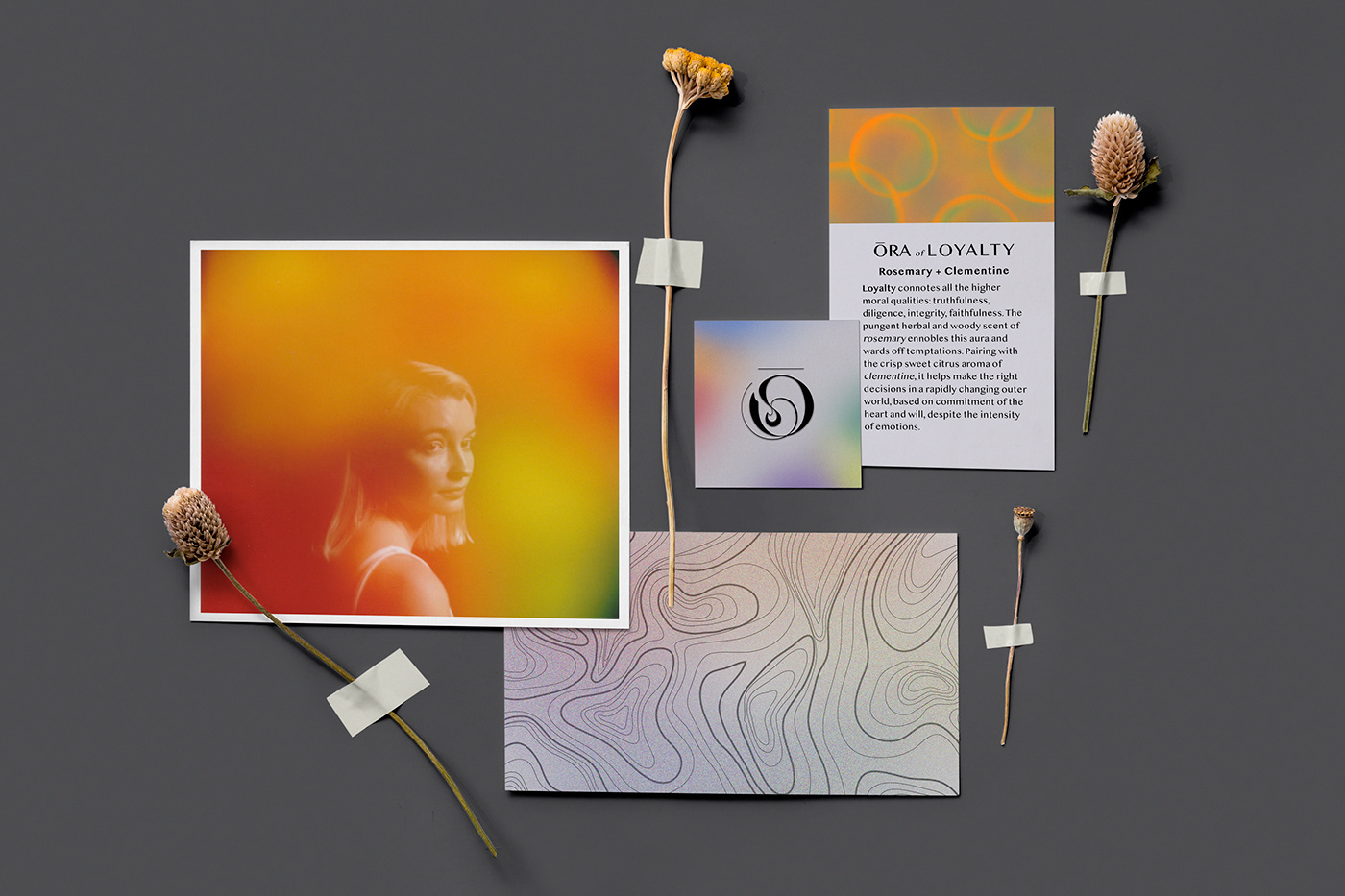 Aura Brand Design candle graphic design  logo minimal modern Packaging spiritual visual identity