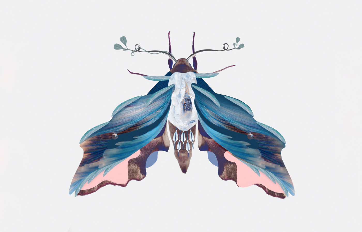 moth butterfly collage Digital Collage soft watercolour marcos morales
