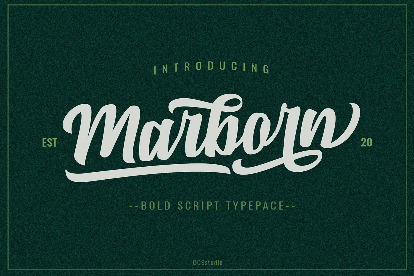Bold Script font font bold font brush Font Cute font elegant font modern font script font shop Typeface