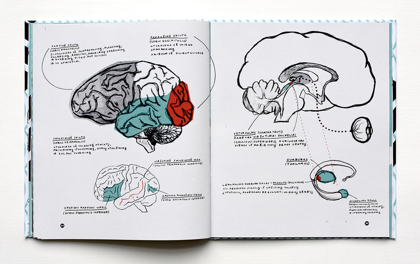 book Illustrated book pareidolia bachelor Picture book psychology perception brain pattern image