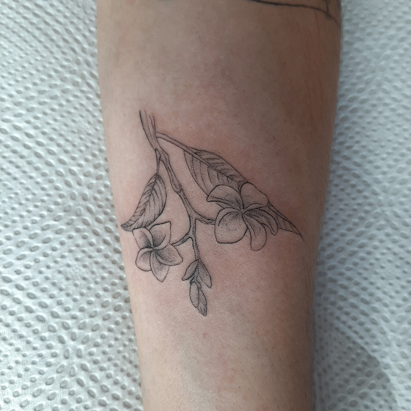blackwork Flowers jasmine flowers tattoo Tatuagem