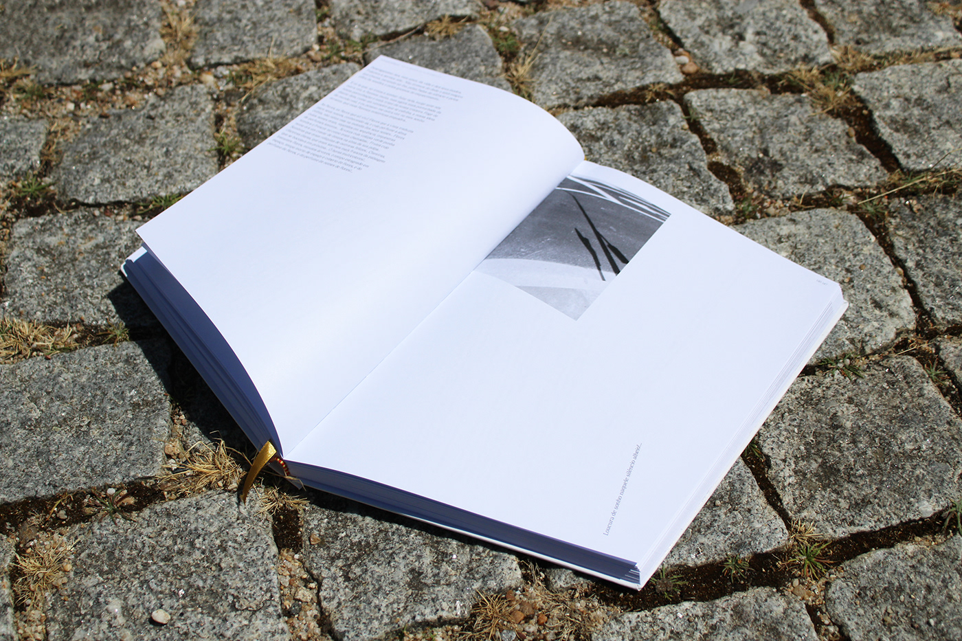 desassossego discomfort feelings wandering White book editorial Livro design graphic design 