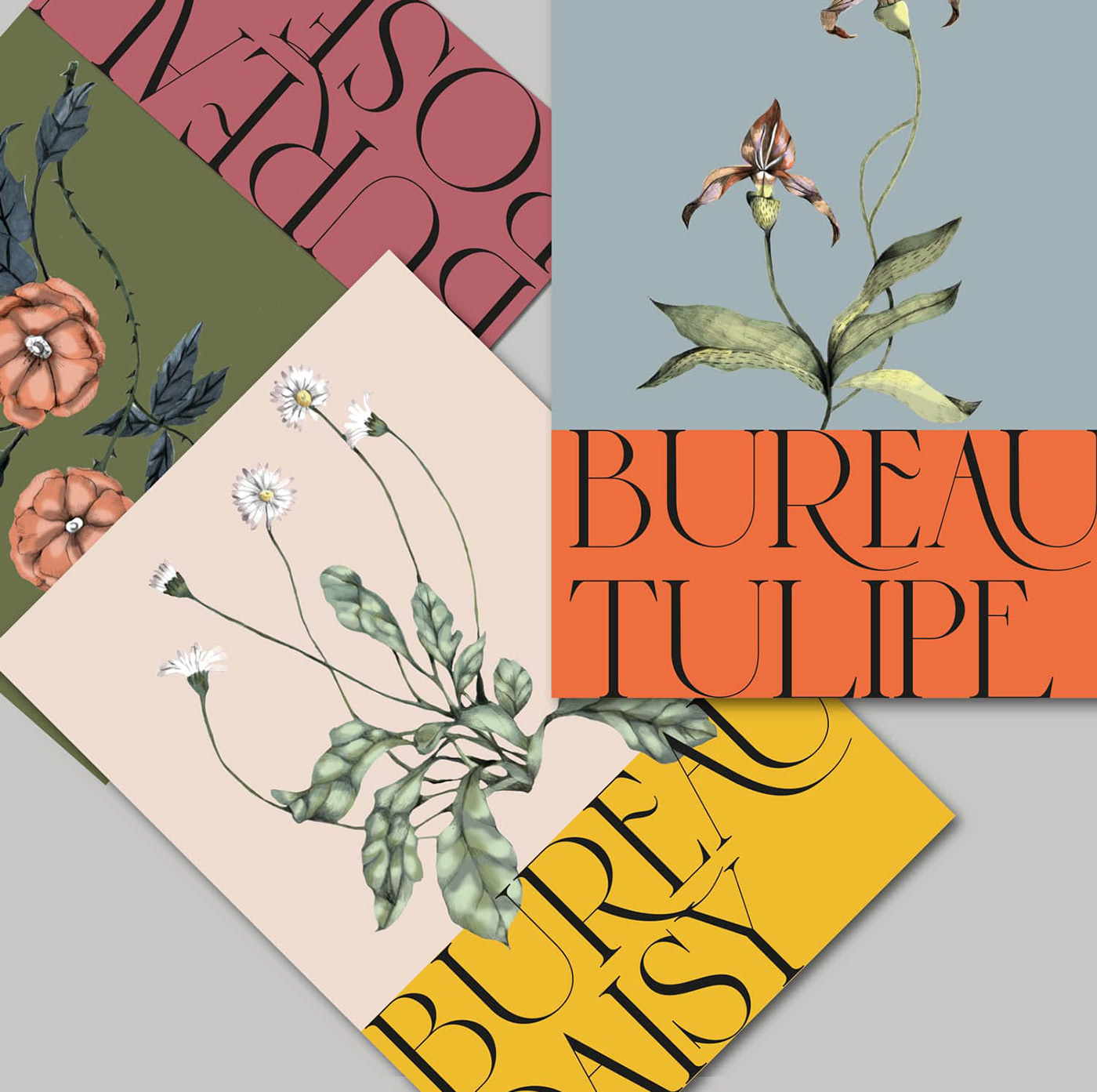 botanical brand identity design French graphicdesigner ILLUSTRATION  logotypes London typedesign typography  