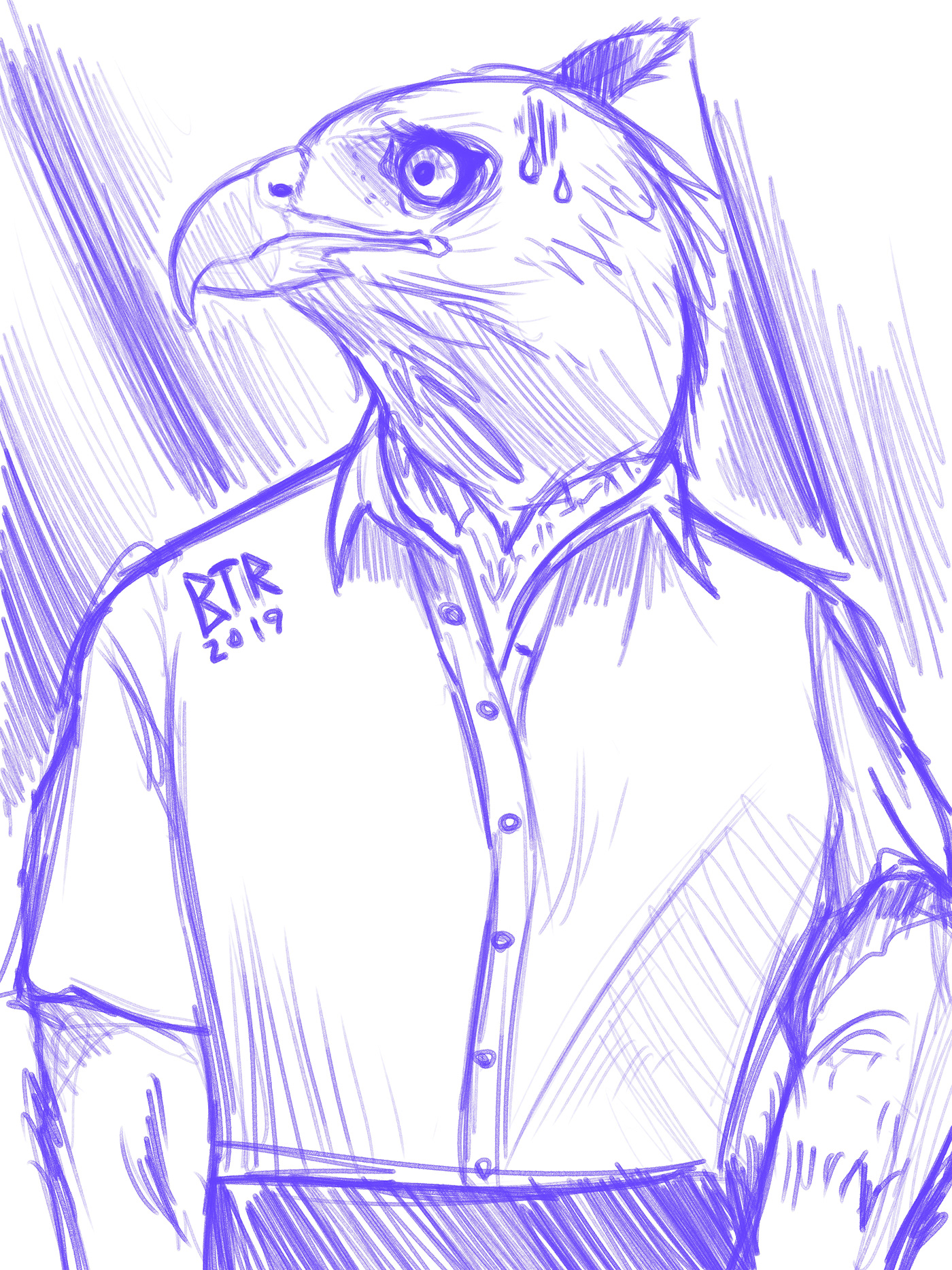art bird Character digital furry ILLUSTRATION  portrait rough sketches