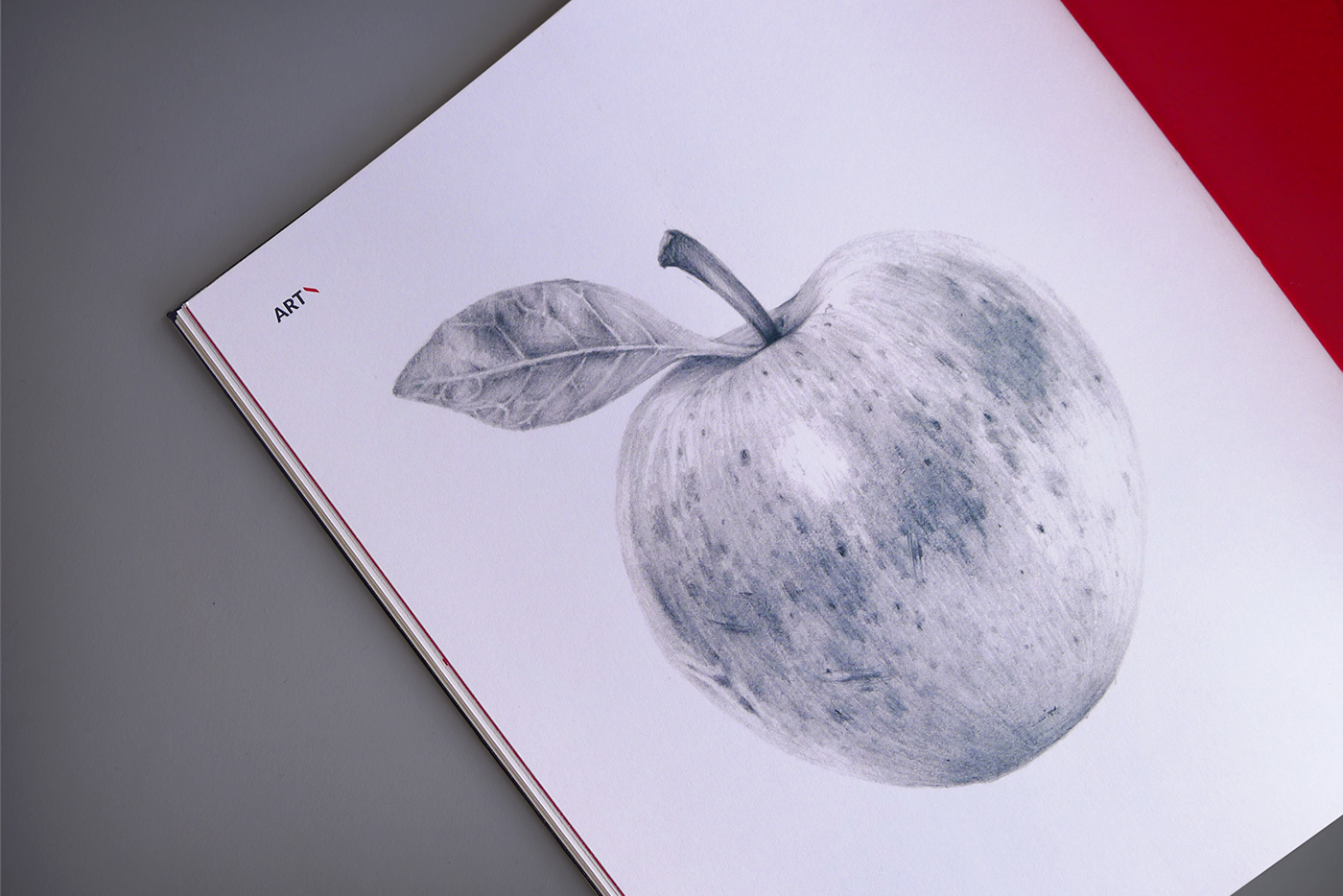 art design book fruits vegetables draw Harmony graphic