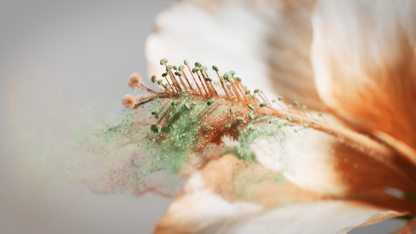 Flowers flower Nature 3D animation  design CGI houdini HoudiniFX
