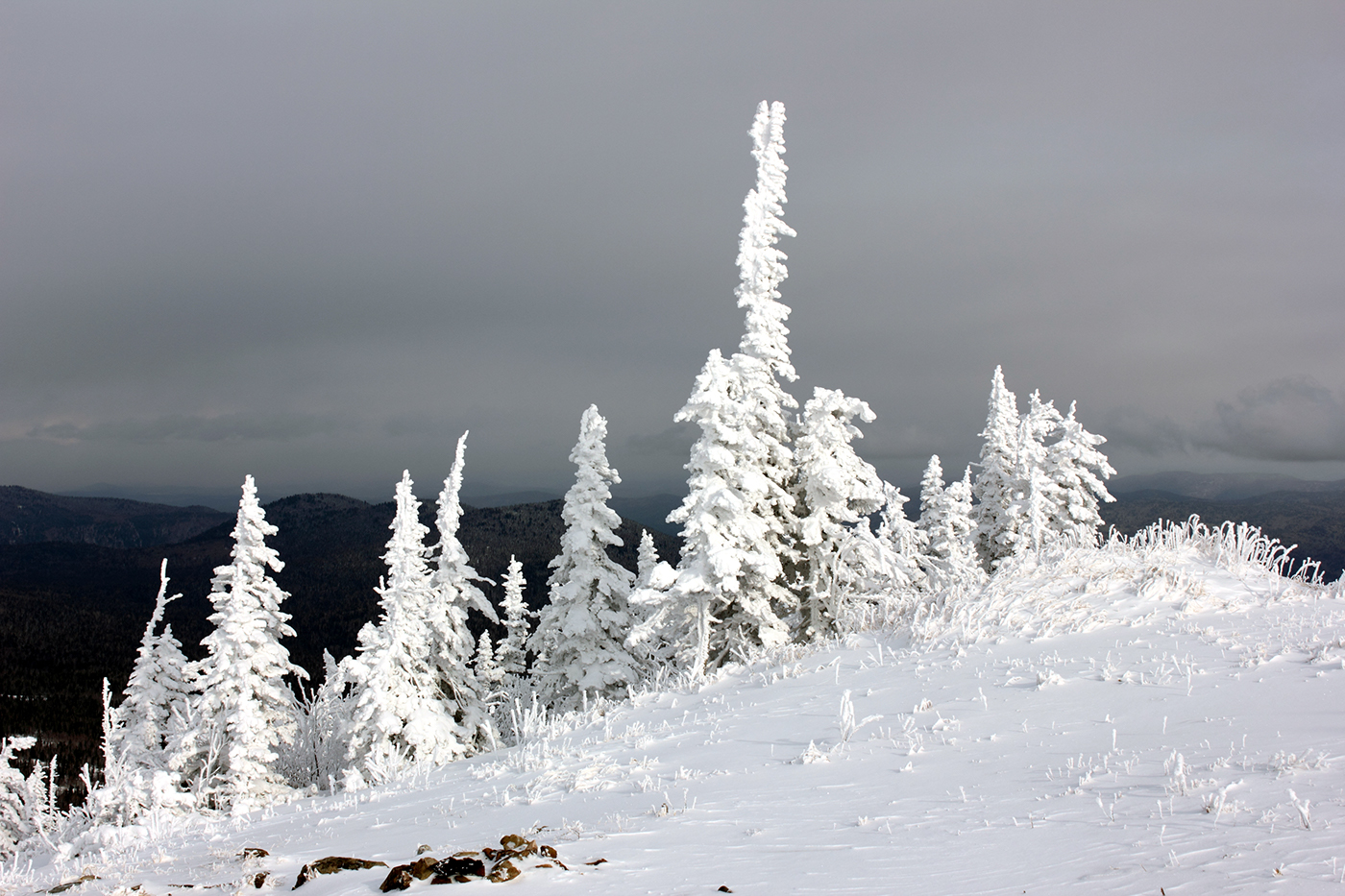 taiga Sheregesh Gornaya Shoriya Siberia wood winter snow winter landscapes mountains tops of mountains