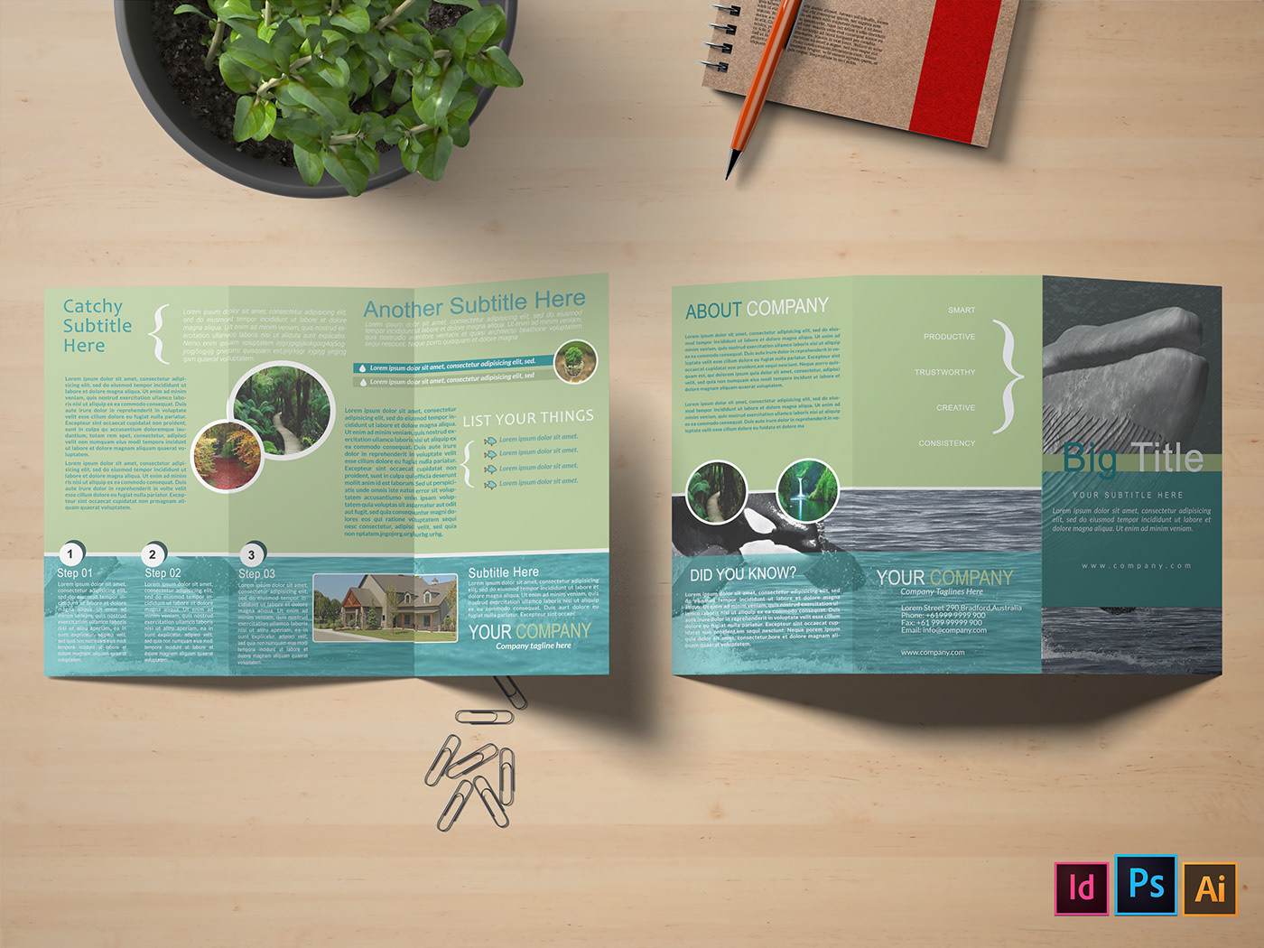 business tri-fold trifold brochure flyer desing graphic design  print Company Brochure corporate