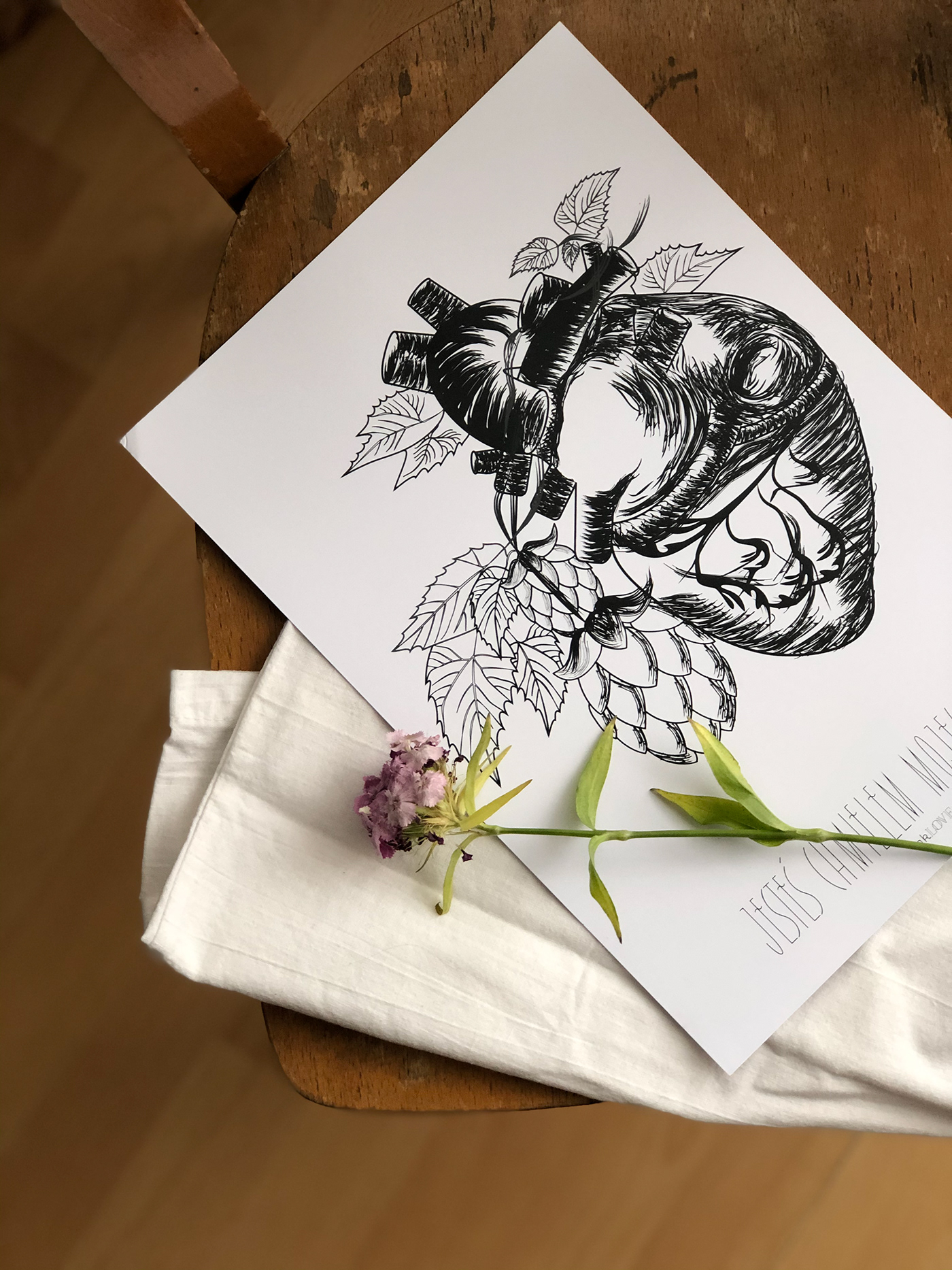 Chmiel ilustracja Miłość   plakat roślina rysunek serce