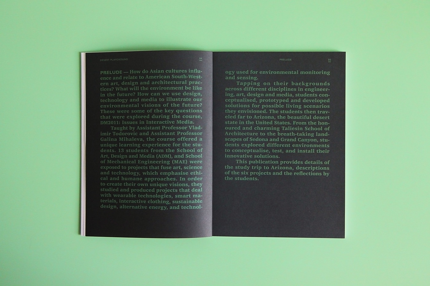 publication pastel desert Playground book Layout Diary journal type charter Didot Gill Sans pages slab serif exchange