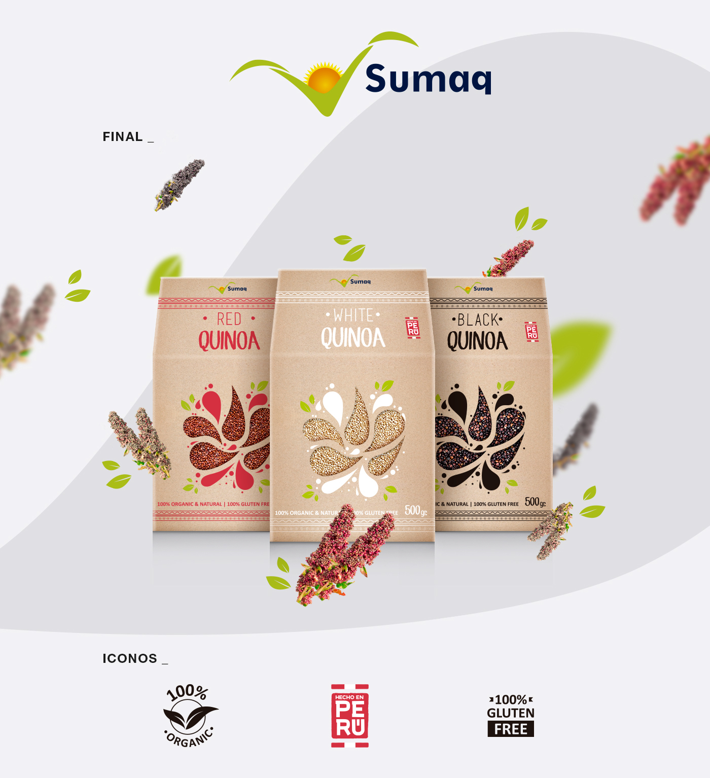 package quinoa peru design organic export china peruvian Food  Quinua carton recicle product premium